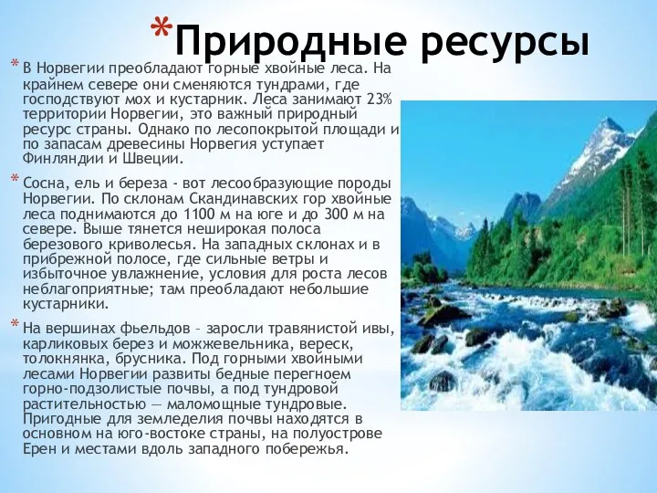 Природные ресурсы В Норвегии преобладают горные хвойные леса. На крайнем