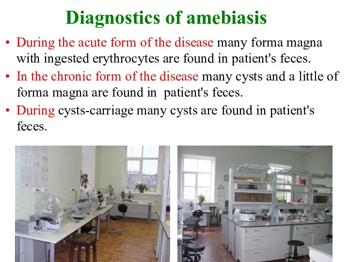 Diagnostics of amebiasis During the acute form of the disease