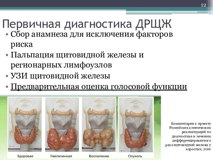 Первичная диагностика ДРЩЖ Сбор анамнеза для исключения факторов риска Пальпация