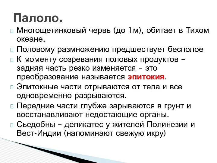 Многощетинковый червь (до 1м), обитает в Тихом океане. Половому размножению