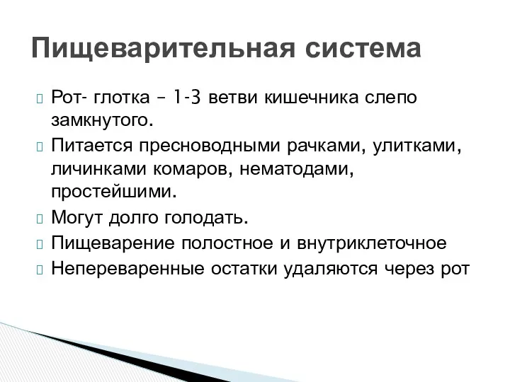 Рот- глотка – 1-3 ветви кишечника слепо замкнутого. Питается пресноводными