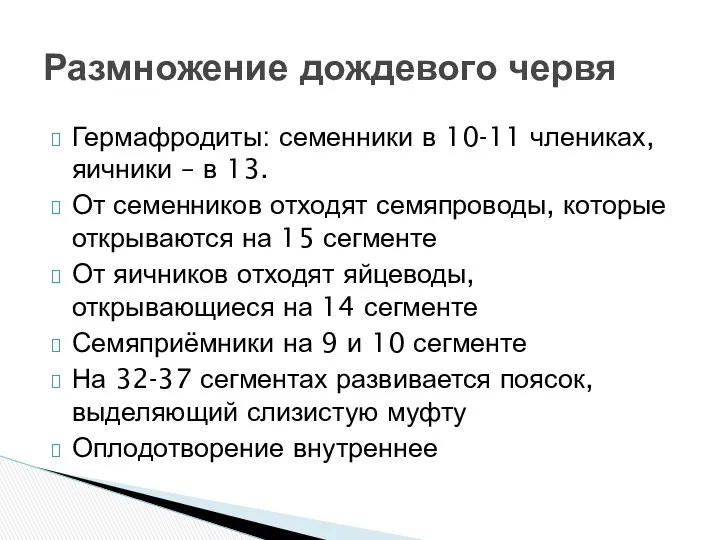 Гермафродиты: семенники в 10-11 члениках, яичники – в 13. От