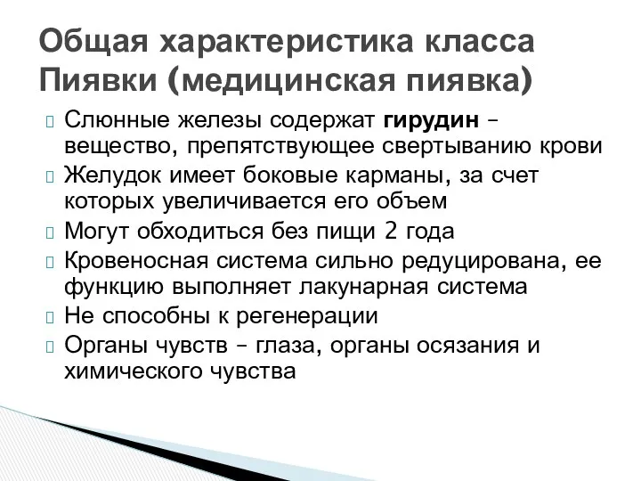 Слюнные железы содержат гирудин – вещество, препятствующее свертыванию крови Желудок