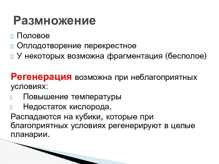 Половое Оплодотворение перекрестное У некоторых возможна фрагментация (бесполое) Регенерация возможна