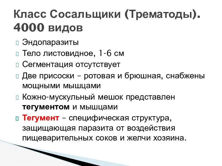 Эндопаразиты Тело листовидное, 1-6 см Сегментация отсутствует Две присоски –