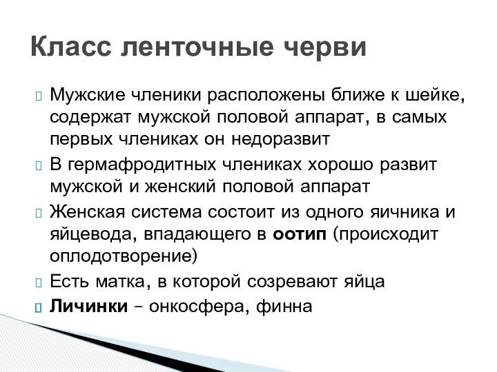 Мужские членики расположены ближе к шейке, содержат мужской половой аппарат,