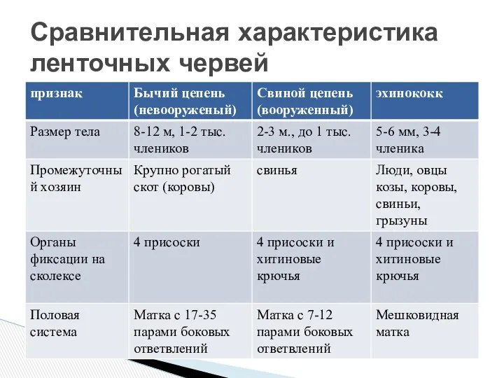 Сравнительная характеристика ленточных червей