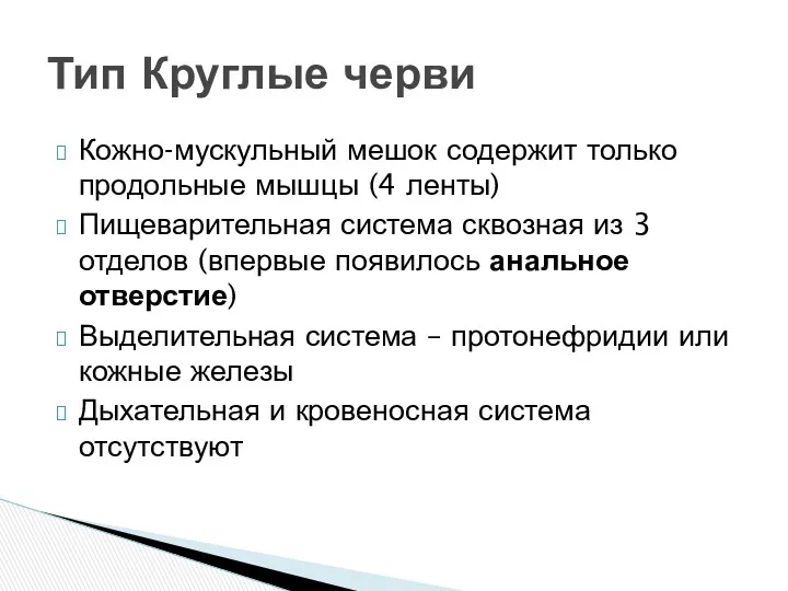 Кожно-мускульный мешок содержит только продольные мышцы (4 ленты) Пищеварительная система