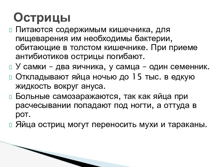 Питаются содержимым кишечника, для пищеварения им необходимы бактерии, обитающие в