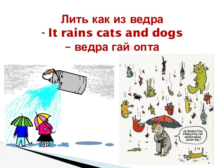 Лить как из ведра - It rains cats and dogs – ведра гай опта