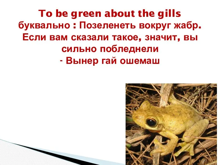 To be green about the gills буквально : Позеленеть вокруг