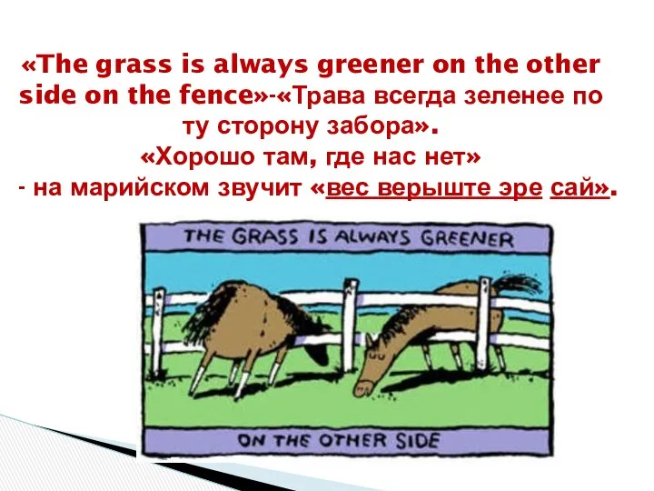 «The grass is always greener on the other side on