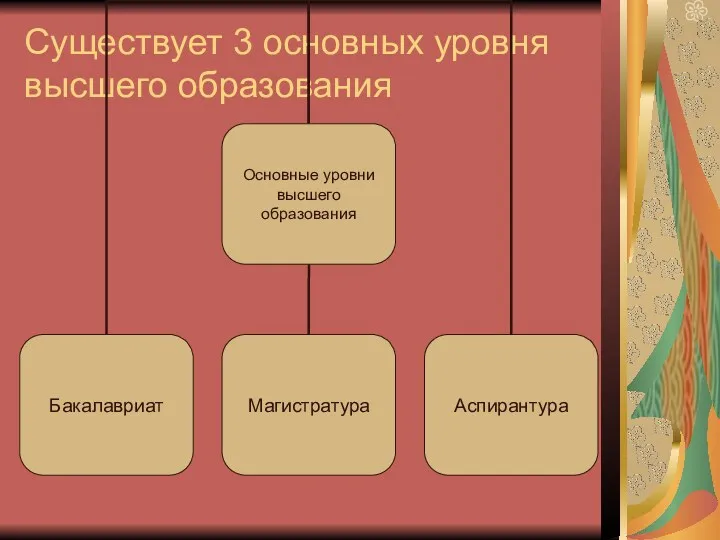 Существует 3 основных уровня высшего образования