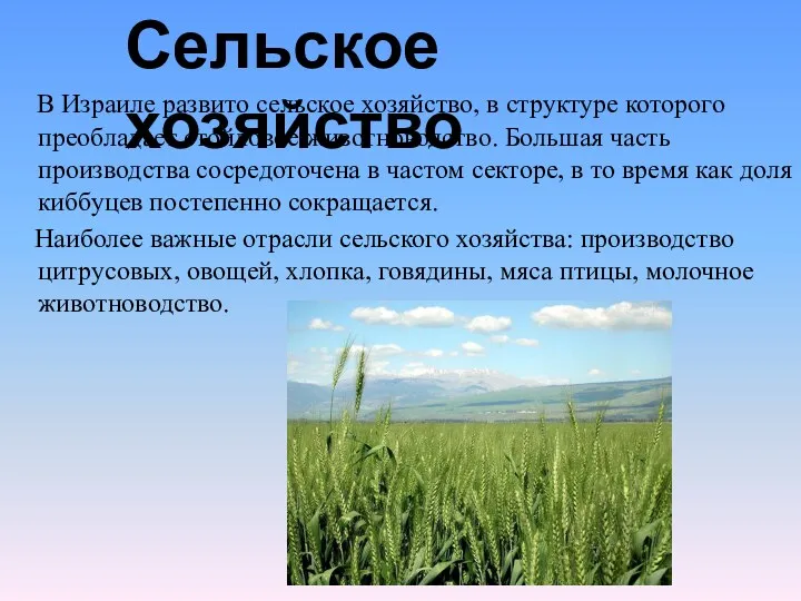 Сельское хозяйство В Израиле развито сельское хозяйство, в структуре которого