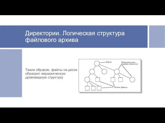 Директории. Логическая структура файлового архива Таким образом, файлы на диске образуют иерархическую древовидную структуру