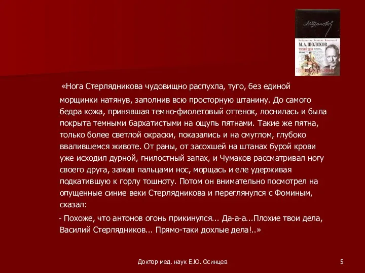 Доктор мед. наук Е.Ю. Осинцев «Нога Стерлядникова чудовищно распухла, туго,