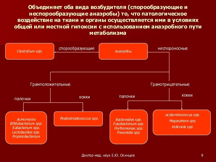 Доктор мед. наук Е.Ю. Осинцев Объединяет оба вида возбудителя (спорообразующие и неспорообразующие анаэробы)