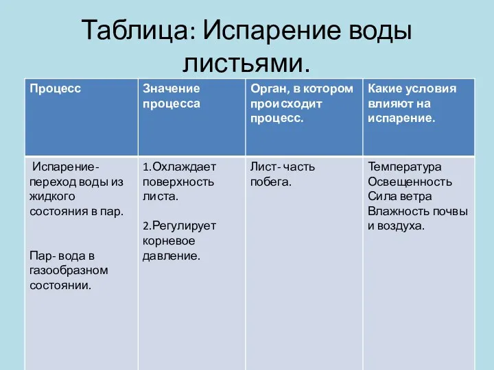 Таблица: Испарение воды листьями.