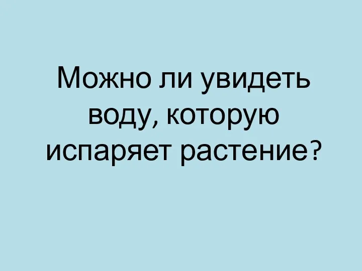 Можно ли увидеть воду, которую испаряет растение?