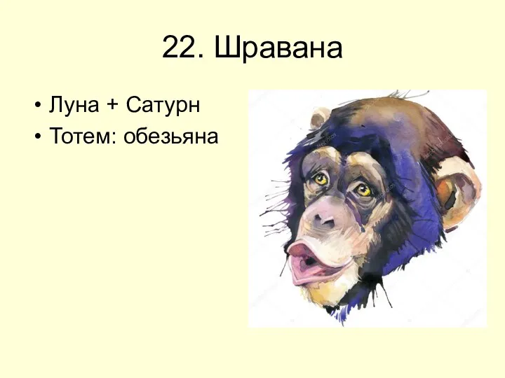 22. Шравана Луна + Сатурн Тотем: обезьяна