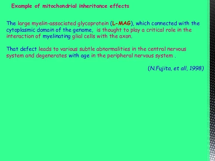 The large myelin-associated glycoprotein (L-MAG), which connected with the cytoplasmic