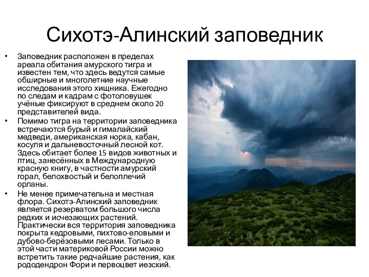 Сихотэ-Алинский заповедник Заповедник расположен в пределах ареала обитания амурского тигра