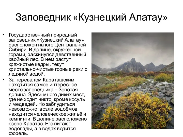 Заповедник «Кузнецкий Алатау» Государственный природный заповедник «Кузнецкий Алатау» расположен на