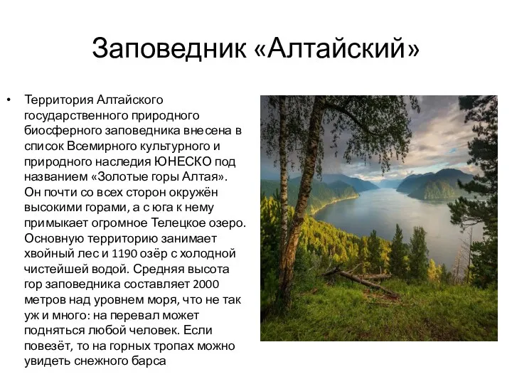 Заповедник «Алтайский» Территория Алтайского государственного природного биосферного заповедника внесена в