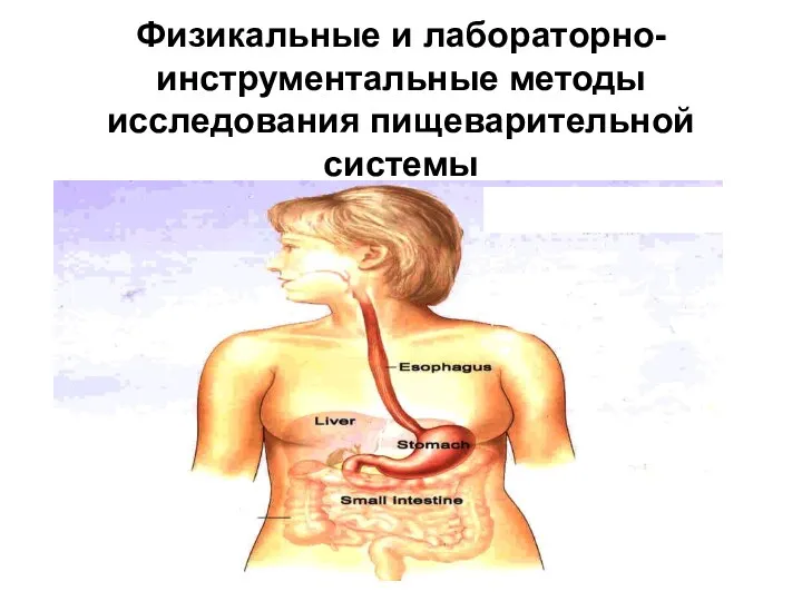 Физикальные и лабораторно-инструментальные методы исследования пищеварительной системы исследования