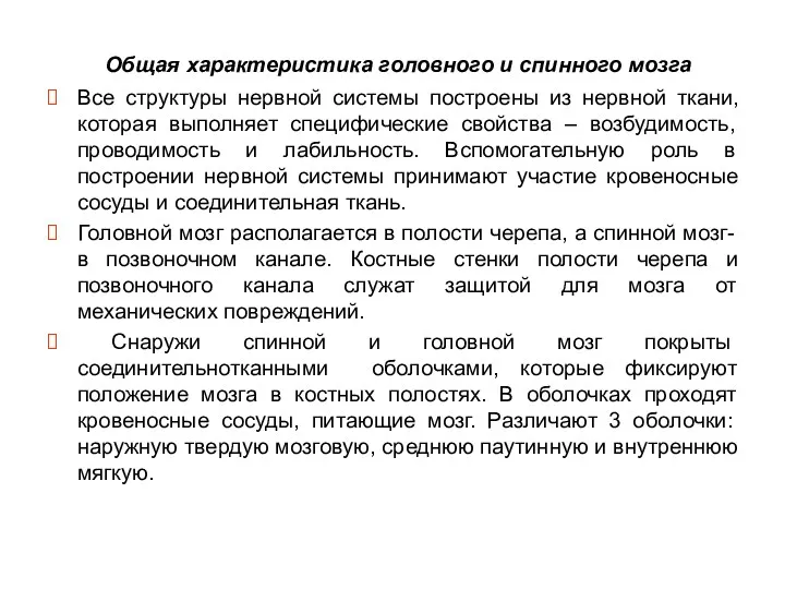 Общая характеристика головного и спинного мозга Все структуры нервной системы