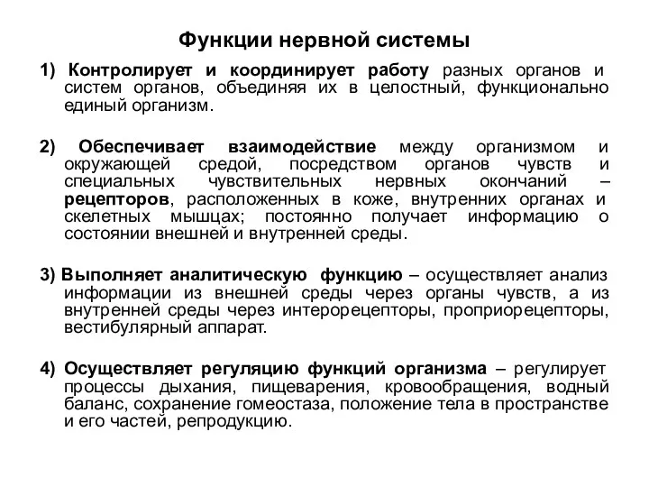 Функции нервной системы 1) Контролирует и координирует работу разных органов