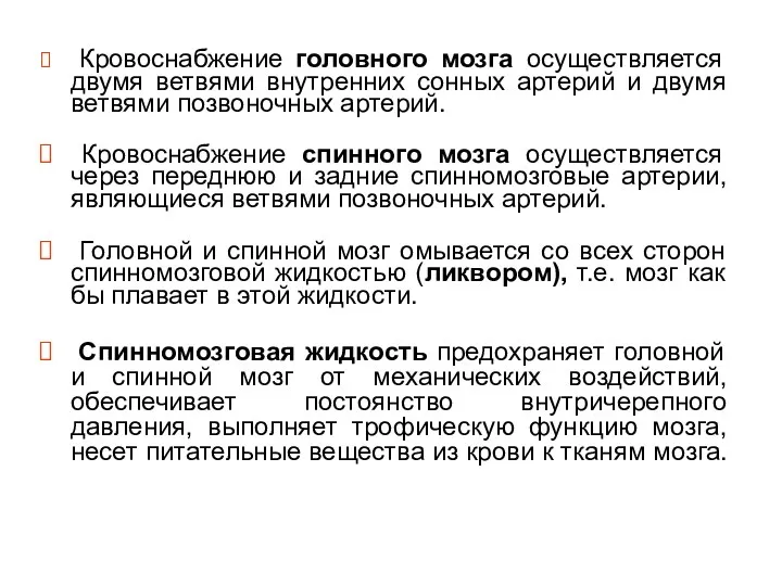 Кровоснабжение головного мозга осуществляется двумя ветвями внутренних сонных артерий и