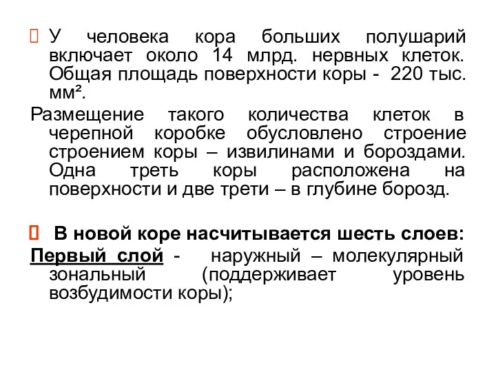 У человека кора больших полушарий включает около 14 млрд. нервных