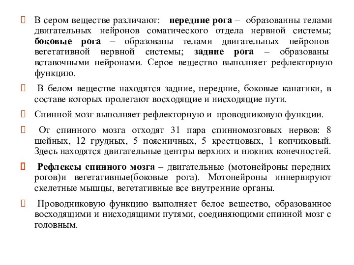 В сером веществе различают: передние рога – образованны телами двигательных