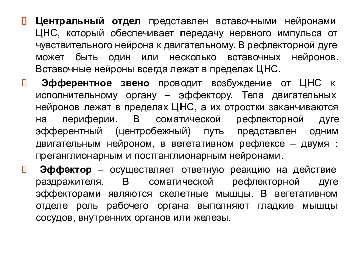 Центральный отдел представлен вставочными нейронами ЦНС, который обеспечивает передачу нервного