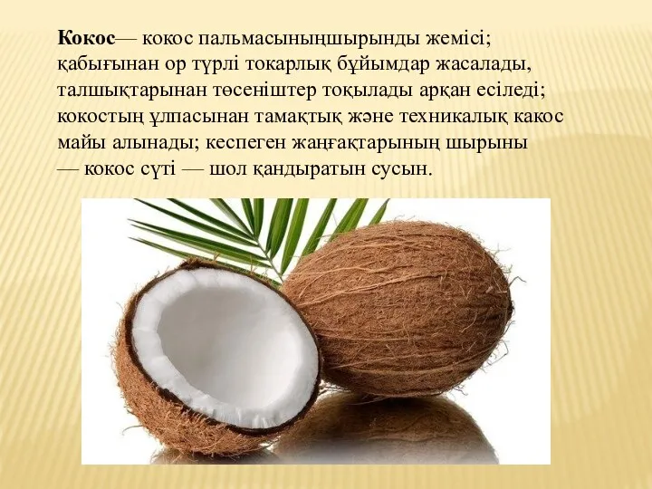 Кокос— кокос пальмасыныңшырынды жемісі; қабығынан ор түрлі токарлық бұйымдар жасалады,