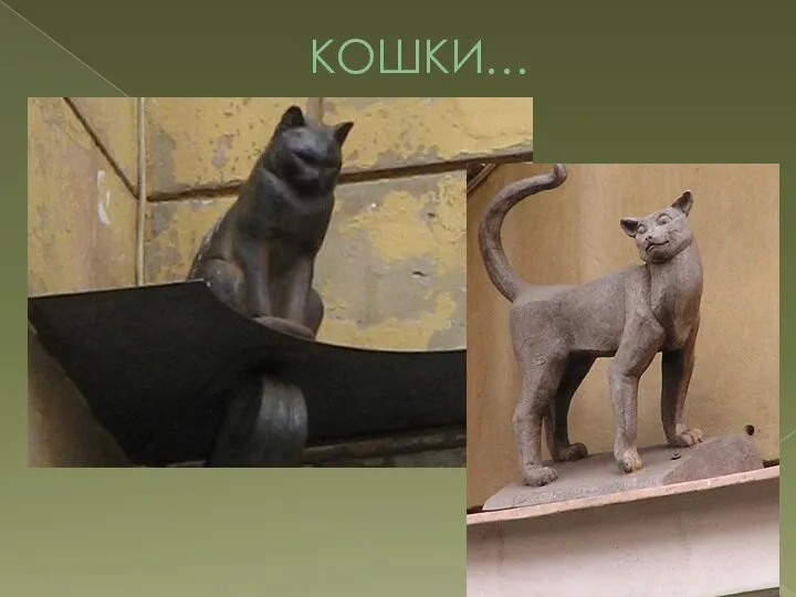 КОШКИ…