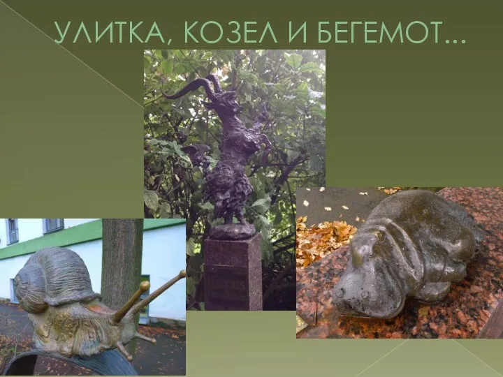 УЛИТКА, КОЗЕЛ И БЕГЕМОТ...