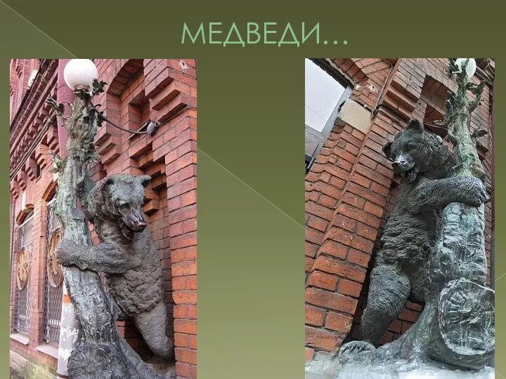 МЕДВЕДИ…