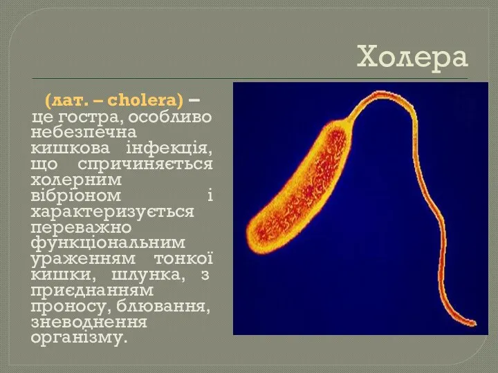 Холера (лат. – cholera) – це гостра, особливо небезпечна кишкова інфекція, що спричиняється