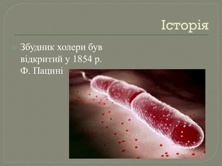Історія Збудник холери був відкритий у 1854 р. Ф. Пацині