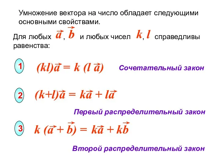 Умножение вектора на число обладает следующими основными свойствами. Сочетательный закон Первый распределительный закон