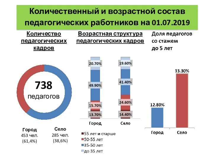 738 педагогов Город 453 чел. (61,4%) Село 285 чел. (38,6%) Возрастная структура педагогических