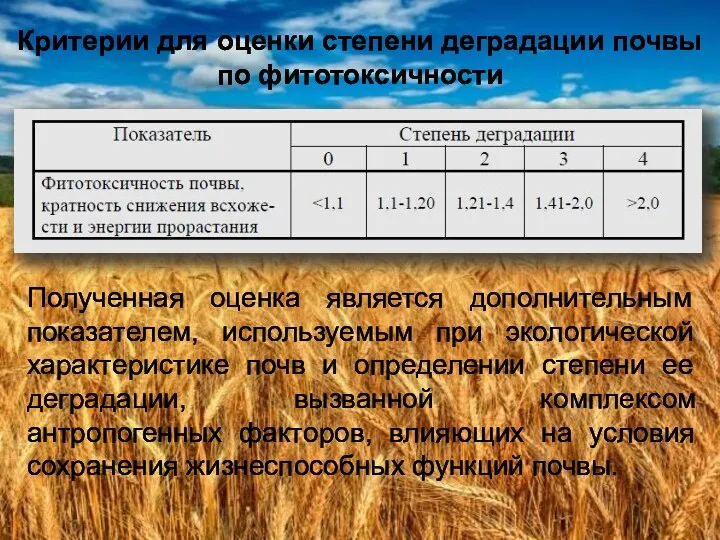 Критерии для оценки степени деградации почвы по фитотоксичности Полученная оценка