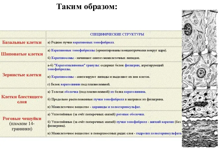 Таким образом: