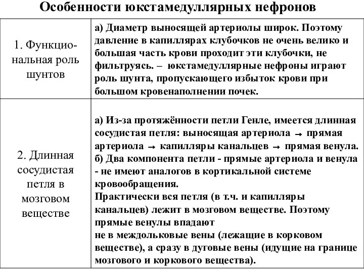 Особенности юкстамедуллярных нефронов