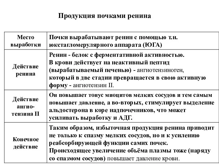 Продукция почками ренина