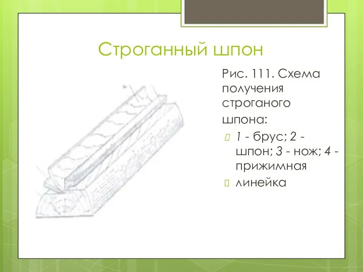 Строганный шпон Рис. 111. Схема получения строганого шпона: 1 -