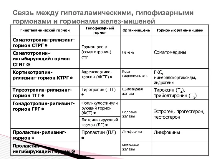 Связь между гипоталамическими, гипофизарными гормонами и гормонами желез-мишеней