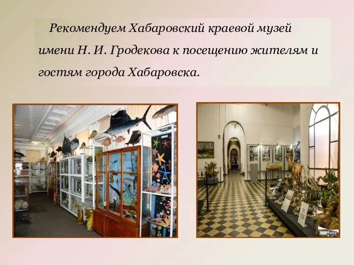 Рекомендуем Хабаровский краевой музей имени Н. И. Гродекова к посещению жителям и гостям города Хабаровска.